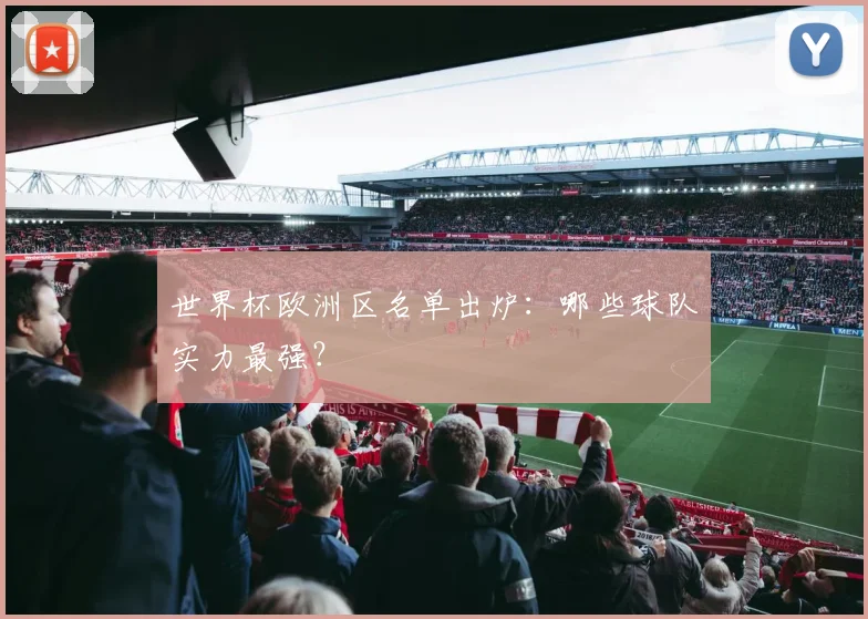 世界杯欧洲区名单出炉：哪些球队实力最强？