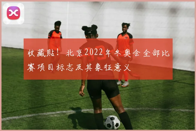 收藏贴!北京2022年冬奥会全部比赛项目标志及其象征意义