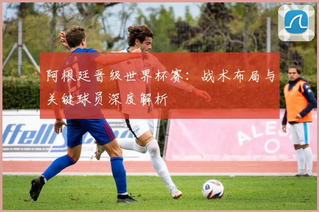 阿根廷晋级世界杯赛：战术布局与关键球员深度解析