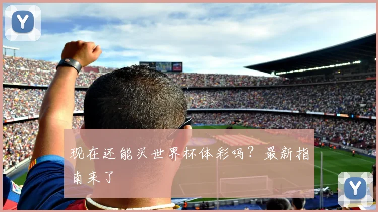 现在还能买世界杯体彩吗?最新指南来了