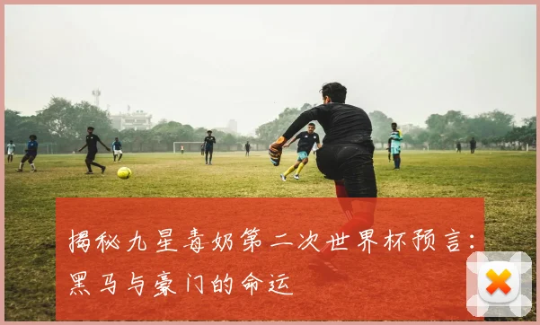 揭秘九星毒奶第二次世界杯预言：黑马与豪门的命运