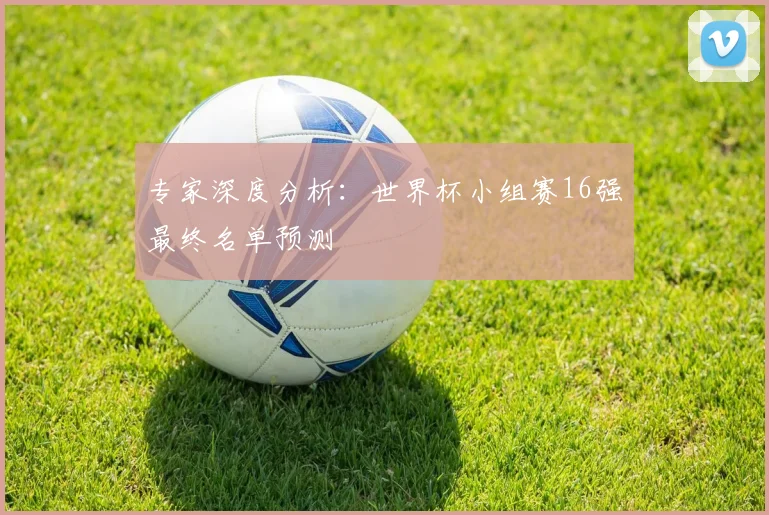 专家深度分析：世界杯小组赛16强最终名单预测