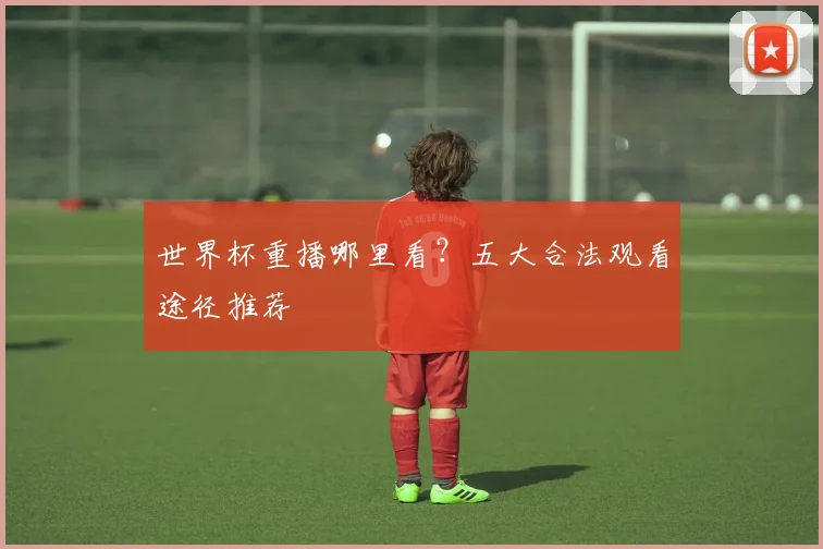 世界杯重播哪里看？五大合法观看途径推荐