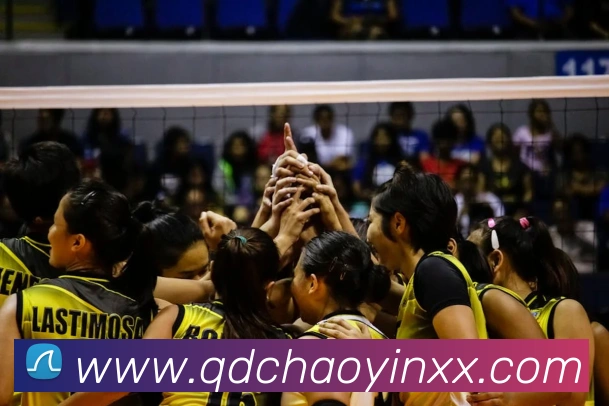 篮球下注服务体系